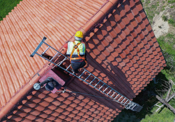 Best Roof Ventilation Installation  in San Antonio Heights, CA
